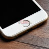 Захисне скло для iPhone 6 / 6S (Tempered Glass Frame 2,5 D) з рамкою фото 8 — eCase