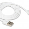 USB кабель XO NB47 (Type-C ) 2A фото 6 — eCase