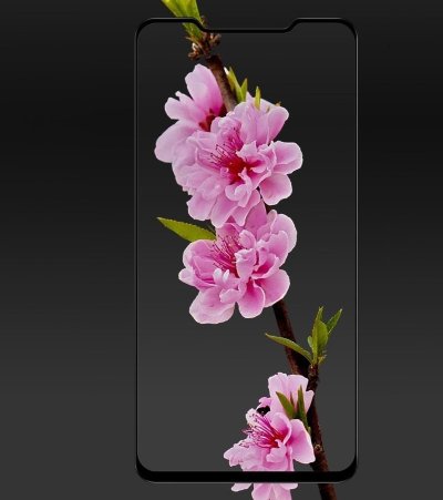 Защитное стекло для Meizu X8 (Tempered Glass Frame 2,5D) с рамкой — eCase