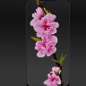 Защитное стекло для Meizu X8 (Tempered Glass Frame 2,5D) с рамкой фото 1 — eCase