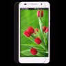Защитное стекло для Huawei Y3 II (Tempered Glass) фото 1 — eCase